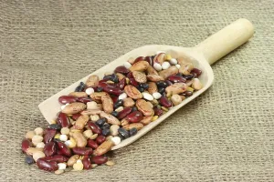 Colourful beans on a wooden shovel