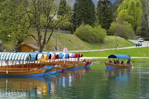Colourful boats are neatly moored on the shore of a lake