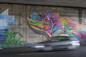 Colourful graffiti, mural, iguana or lizard in rainbow colors
