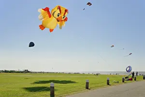 Colourful kites in the air above the dragon meadow of Norddeich
