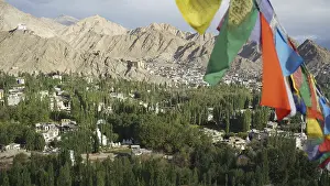 Colourful prayer flags against a green