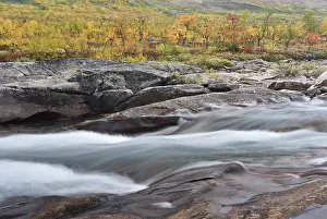 Colourful trees in autumn, rapids in the river Saltelva