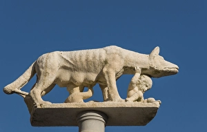 Column with statue of the Contrada della Lupa