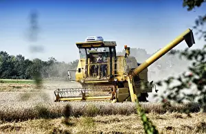 Combine harvester, wheat harvest