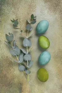 Composition of colored eggs and eucalyptus leaves