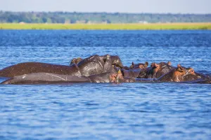 The concept of extreme and exotic tourism in Okavango Delta
