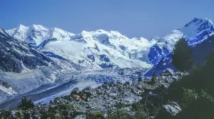 Confluence of the Morteratsch Glacier and Pers Glacier in front of the Bernina Group with Piz Palue, Bellavista and Piz Bernina in the summer of 1977