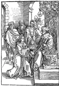 Conrad Celtis, Conrad Celtes, Protucius