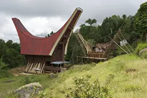 Construction of traditional Toraja houses