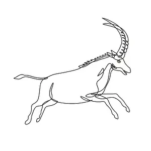Continuous line drawing illustration of a black sable antelope or Hippotragus niger jumping viewed from side done