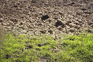 Contrast between dry, cracked soil and green grass on the edge