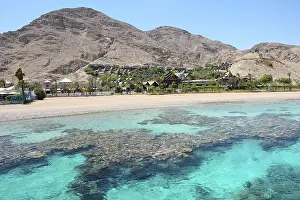Coral reef in the Gulf of Eilat Red Sea