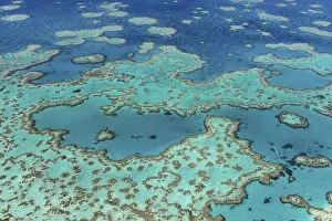 Coral Reef, Heart Reef, part of Hardy Reef