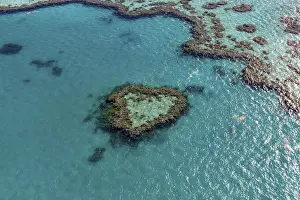 Coral Reef, Heart Reef, part of Hardy Reef