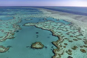 Coral Reef, Heart Reef, part of Hardy Reef