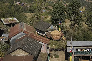 Corn on the cob stored in front of a farmhouse in Nepal