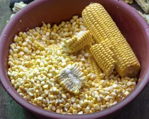 Corn on the corn cob and corn kernels