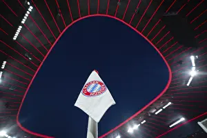 Category Historic EN Prints: Corner flag logo FC Bayern Munich FCB