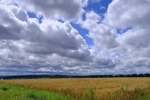Cornfields, near Elz Castle, Rhineland-Palatinate