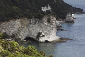 Category Oldtimer Prints: Coromandel Peninsula, New Zealand, Oceania