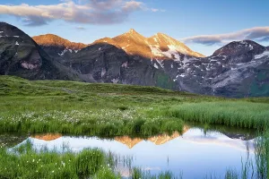 Cotton grass with mountain panorama and reflection, snow, Grossglockner High Alpine Road, Hohe Tauern National Park, Pinzgau, Salzburg