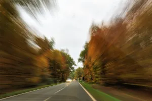 Country road through autumn forest