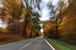 Country road through autumn forest