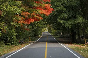 Country road through colourful autumn forest