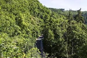 Country road in the Harz Mountains