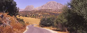 Country road in the landscape in Malaga province