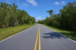 A country road leads through a wooded area under a clear sky