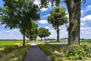 Country road south of Kampen, on the Lower Rhine