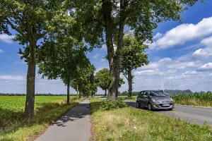 Country road south of Kampen, on the Lower Rhine