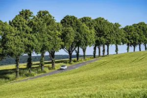 Country road between Warstein and Hirschberg in Sauerland
