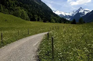 Countryside path going through spring meadow with view of the Allgaeu Alps