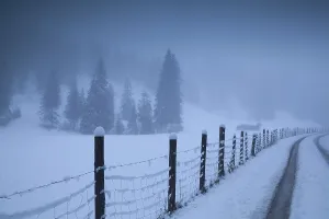 Countryside road in foggy Alps, Bavaria, Germany
