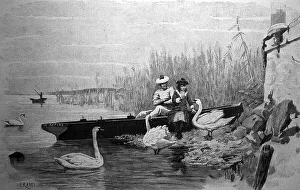Couple feeding swans after a trip in a rowing boat