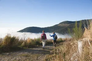 Couple hiking in the Black Forest