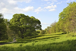 A couple holding hands walks on a winding path in a beautiful natural setting with lush trees