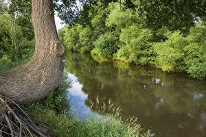 The course of the Hunte river near Oltmannsberg