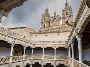 Courtyard of the House of Shells (Casa de las Conchas)