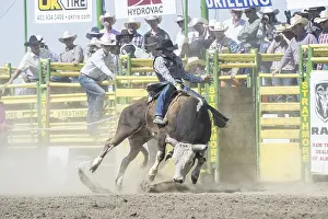 Cowboy bull riding, Strathmore Heritage Days