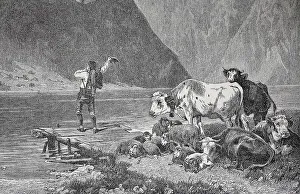 Cowherd Waiting for the Ferryman