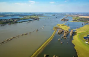 Cowshed with cows in flood water