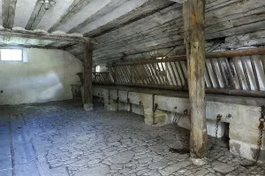 Cowshed, early 1900s, Franconian Open Air Museum