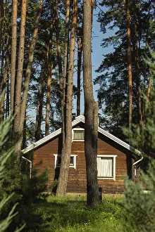 Cozy small wooden house cottage in a pines forest in summer