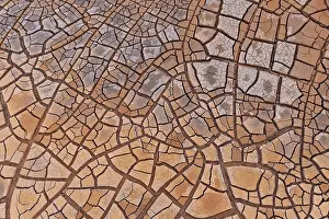 Cracks in clay soil form mosaic-like structure