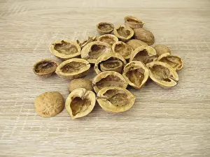 Craft material walnut shells: halved walnut shells
