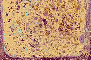 Creative ebru background with beautiful marbling texture abstract acrylic waves