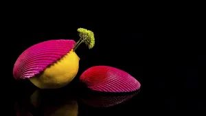 Creative still life with lemon and shells on a black background